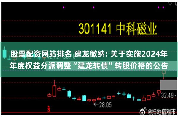 股票配资网站排名 建龙微纳: 关于实施2024年年度权益分派调整“建龙转债”转股价格的公告